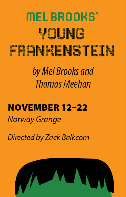Young Frankenstein image