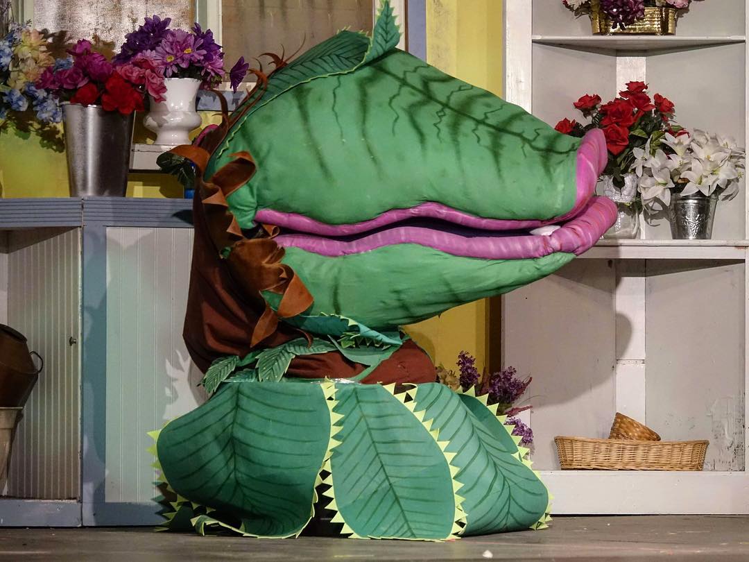 Audrey II